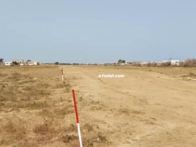 terrain à vendre à kélibia (aïn grenz)