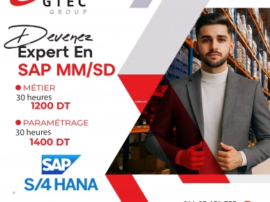 Formation SAP MM / SD Formation SAP MM / SD