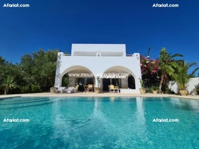 Dar Alexandra AL3583 Hammamet