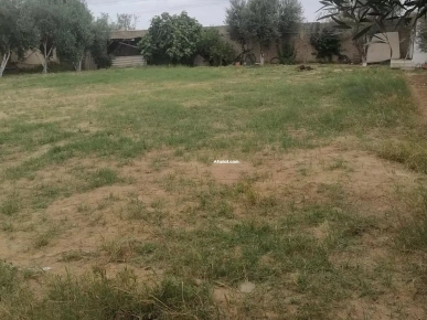 La Soukra Chotrana 3 côté Restaurant ElFirma: un terrain a vendre