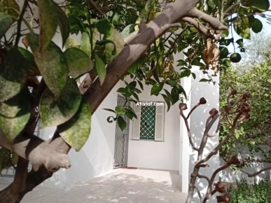 Rez de chaussée de villa à louer
