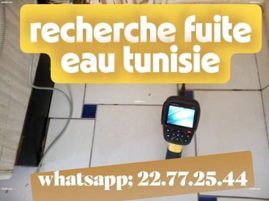 recherche détection localisation tous types de fuite Tunisie main
