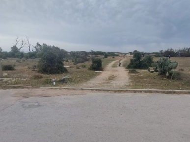 TERRAIN A BNI KHIAR PIEDS DANS L'EAU