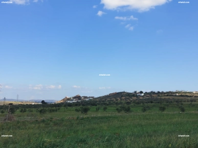 Terrain agricole à vendre à Hammamet ( El Monchar)