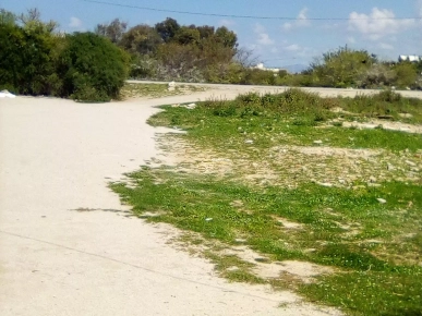 Terrain Bord de Mer Terrain Bord de Mer