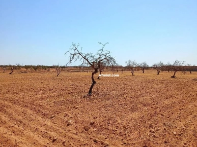 TH_ للعقارات TH_ للعقارات