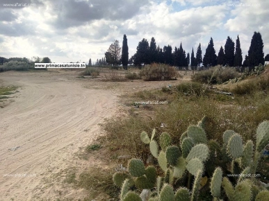 Terrain Mustapha à Hammamet