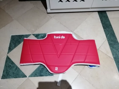PROTEGE POUR taekwondo PROTEGE POUR taekwondo