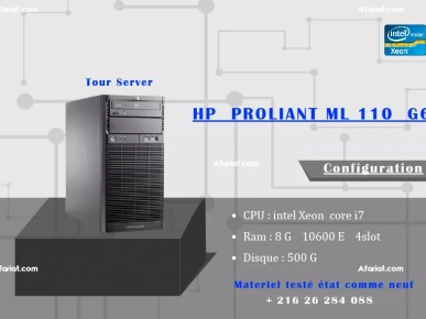 HP  PROLIANT ML 110  G6 HP  PROLIANT ML 110  G6
