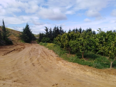 Ferme arborée 4ha