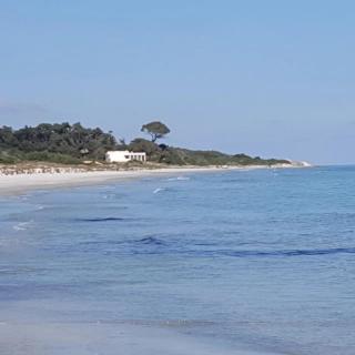 opportunité d'un terrain paradisiaque