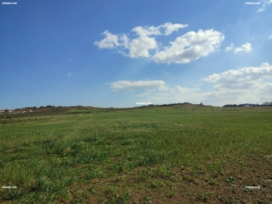 Terrain agricole à vendre à Hammamet ( El Monchar)