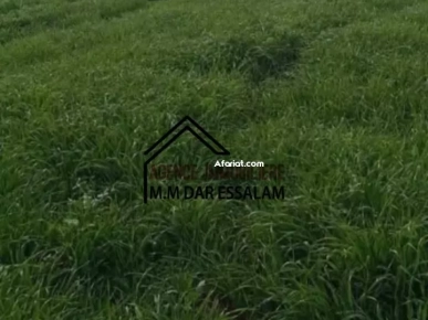terrain agricole à vendre