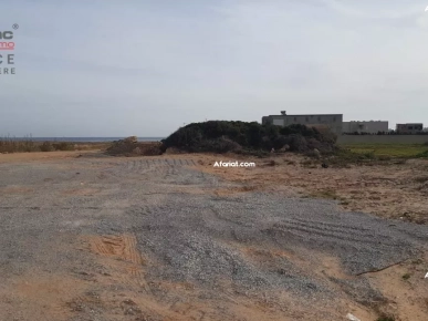 à vendre un lotissement pied dans l'eau à dar Allouche kélibia à vendre un lotissement pied dans l'eau à dar Allouche kélibia