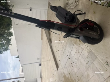 trottinette électrique SEGWAY ninebot F3