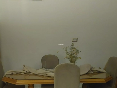 Ensemble salle à manger 6 places – Bon état