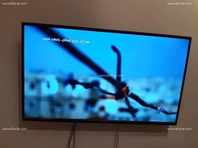 Vente plasma CONDOR 32 POUCE