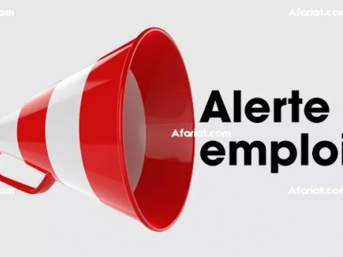 B2S PRO recrute des téléopérateurs ayant un bon niveau de françai B2S PRO recrute des téléopérateurs ayant un bon niveau de françai