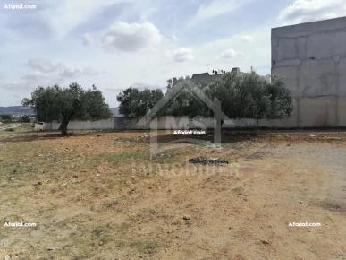 à vendre un superbe terrain à Manaret Elhammamet