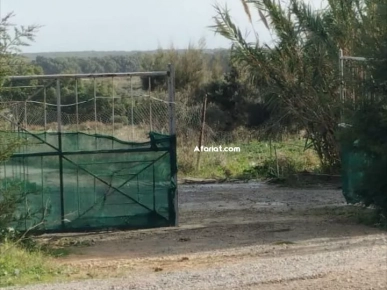 terrain sur la route principal