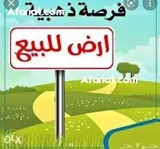 ارض للبيع 5 هكتارات ارض للبيع 5 هكتارات
