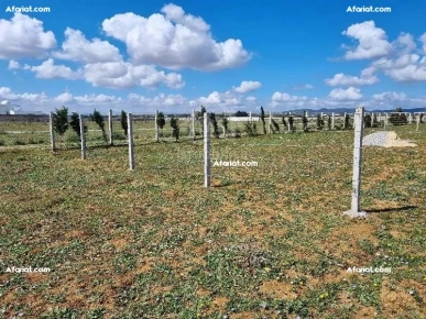 Terrain clôturé de 1000 m² à vendre à 110 MD à Hammamet Sud