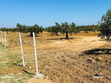 un  terrain A HAMMAMET