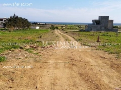 TERRAIN A DAR ALLOUCHE