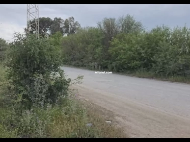 Un terrain de 1000m2 sur la route principale sidi younes