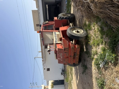 Fenouike en bon état Fenouike en bon état