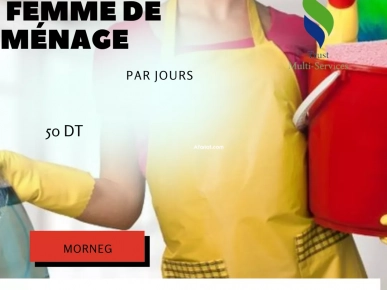 femme de ménage par jour a la morneg femme de ménage par jour a la morneg