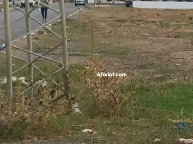 Lots industriels à vendre – Jbel El Ouest, Zaghouan 