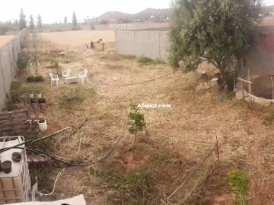a vendre terrain ارض للبيع