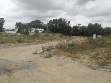 Soukra chotrana 3 coté restaurant el firma