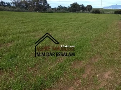 terrain près de la mer