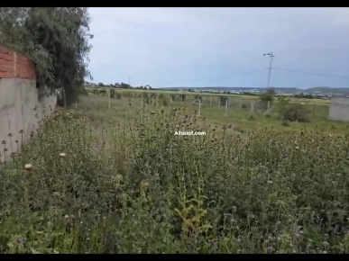Un terrain de 1000m2 sur la route principale sidi younes