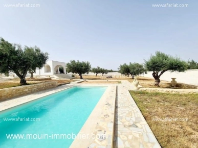 FERME TULIPE Bouficha, Oued Kharroub T951 FERME TULIPE Bouficha, Oued Kharroub T951