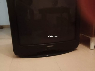 télévision