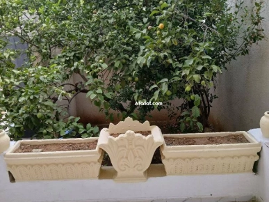 maison à louer