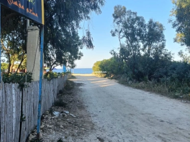 un terrain situé a Kerkwen Plage Kelibia