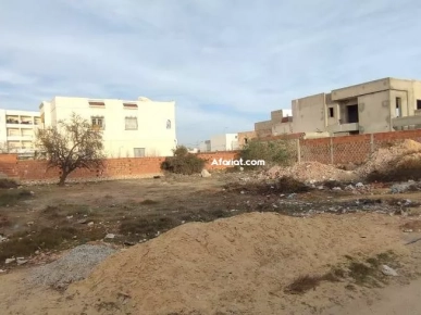 Terrain à Sfax Sakiet Eddaier kassas bouali Terrain à Sfax Sakiet Eddaier kassas bouali