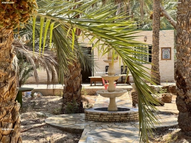 a vendre belle oasic avec pangalo au zone touristique de touzeur a vendre belle oasic avec pangalo au zone touristique de touzeur