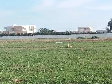 un terrain vue sur mer à kerkouane un terrain vue sur mer à kerkouane