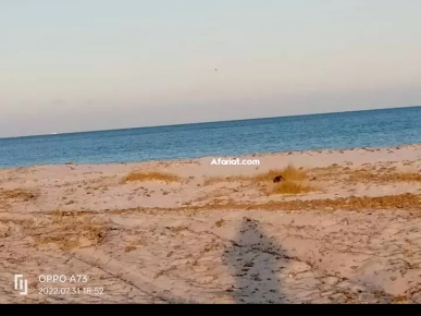 Terrain a vendre a zahra près de plage hammam ghezez