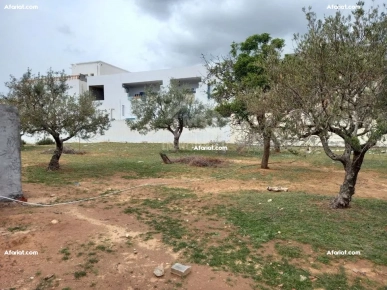 Terrain de 250 m² à Hammamet Nord à vendre 51355351