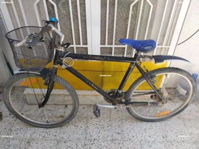 velo de ville