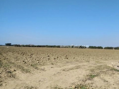 Terrain agricole de 6 hectares a el haouaria cap bon