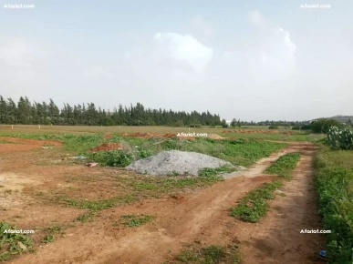 أرض للبيع 250 م² حتى 1000 م²