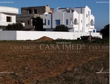 un terrain à El Hammamet sud