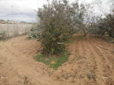 terrain parfait a vendre terrain parfait a vendre